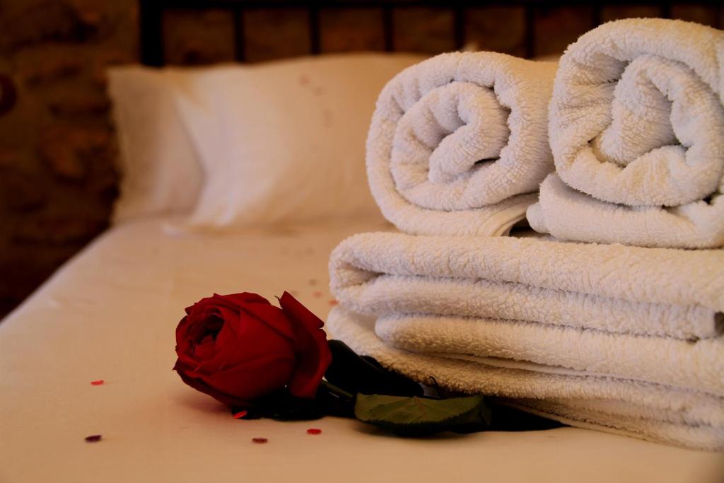 estudio-rural-doble-turimaestrat-13